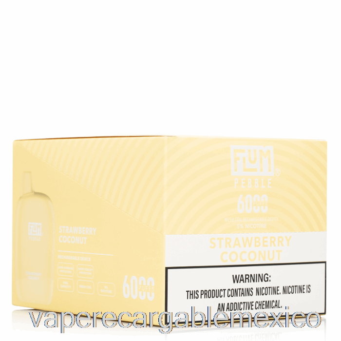 Vape Recargable [paquete De 10] Flum Pebble 6000 Desechable